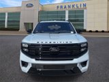 New 2025 Ford Expedition Max Platinum image 2