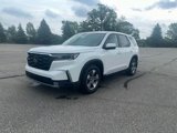 New 2025 Honda Pilot EX-L image 3