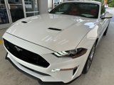 Certified 2023 Ford Mustang GT Premium w/ Equipment Group 401A image 3