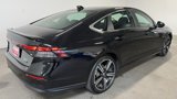 Used 2024 Honda Accord Sport image 3