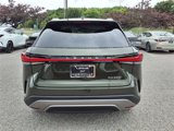 New 2025 Lexus RX 350 Premium Plus image 4
