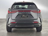 New 2025 Lexus NX 300h AWD w/ Luxury Package image 4
