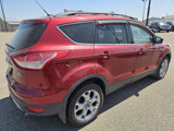 Used 2013 Ford Escape SEL image 5