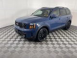 Used 2024 Kia Telluride SX Prestige X-Line image 4