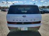 New 2025 Hyundai Santa Fe Calligraphy image 6