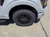 New 2025 Ford F150 XLT image 2