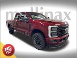 New 2025 Ford F250 Platinum image 1