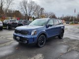 New 2025 Kia Telluride SX Prestige X-Line image 4