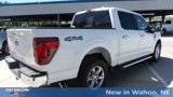 New 2025 Ford F150 XLT w/ Equipment Group 302A MID image 5