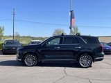 New 2025 Hyundai Palisade Calligraphy image 4