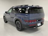 New 2025 Hyundai Palisade Calligraphy image 3
