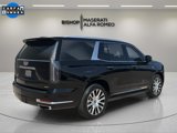 Used 2025 Cadillac Escalade Premium Luxury Platinum image 3