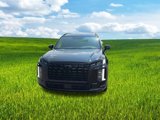 New 2025 Hyundai Palisade Calligraphy image 5