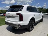 New 2025 Kia Telluride SX image 5