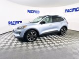 Used 2022 Ford Escape SE w/ SE Sport Appearance Package image 5