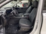 New 2025 Kia Carnival SX Prestige image 5
