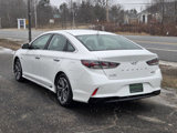 Used 2019 Hyundai Sonata Limited image 6
