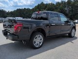 New 2025 Ford F150 Platinum image 4