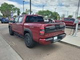 New 2025 Nissan Frontier PRO-4X image 5