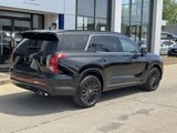 New 2025 Hyundai Palisade Calligraphy image 4