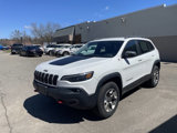 Used 2019 Jeep Cherokee Trailhawk w/ Cold Weather Group image 4