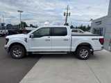 Certified 2025 Ford F150 XLT w/ Equipment Group 302A MID image 4
