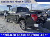 New 2025 Ford F150 XLT w/ Equipment Group 302A MID image 5