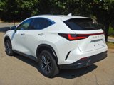 Used 2023 Lexus NX 350 AWD w/ Premium Package image 5