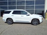 New 2025 Hyundai Palisade Calligraphy image 2