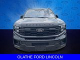 New 2025 Ford Expedition Max Platinum image 2