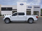 Used 2025 Ford F150 XLT w/ Equipment Group 302A MID image 3