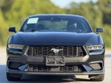 Used 2024 Ford Mustang Premium image 2