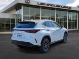 New 2026 Lexus NX 350 AWD image 2