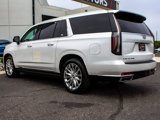 Used 2024 Cadillac Escalade ESV Premium Luxury w/ Performance Package image 4