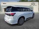 New 2025 INFINITI QX80 Luxe image 5