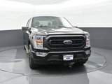 Used 2021 Ford F150 XLT w/ Equipment Group 301A Mid image 3