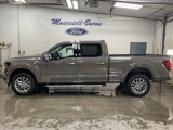 New 2025 Ford F150 XLT w/ Equipment Group 303A High image 4