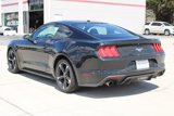 Used 2019 Ford Mustang Coupe image 5