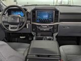 New 2025 Ford F150 XLT w/ Equipment Group 301A Standard image 5