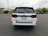 New 2025 Honda Odyssey Sport-L image 4