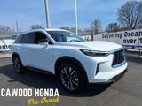 Used 2023 INFINITI QX60 Luxe image 1