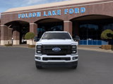 New 2025 Ford F250 Platinum image 6