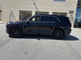 New 2025 Hyundai Palisade Calligraphy image 4