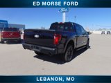 New 2025 Ford F150 XLT w/ Equipment Group 303A High image 6