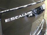New 2026 Cadillac Escalade IQ Sport 1 image 5