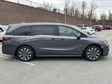 New 2025 Honda Odyssey Elite image 2
