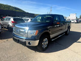 Used 2014 Ford F150 XLT w/ Equipment Group 302A Luxury image 3
