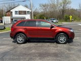 Used 2014 Ford Edge SEL w/ Equipment Group 205A image 5