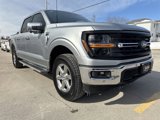 New 2025 Ford F150 XLT w/ Equipment Group 302A MID image 4