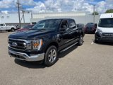 Certified 2022 Ford F150 XLT w/ Equipment Group 302A High image 2